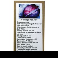 6 Degrees East Heirloom Veg Seeds - Cabbage - Red Acre